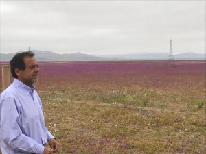 26 de octubre: Día de Atacama (Descarga el texto de su historia aquí)